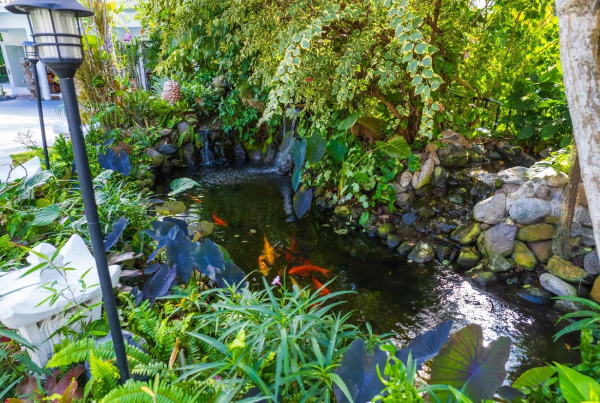 Twenty-Second image of 6 Shortridge Crescent, King in Kingston 6, St. Andrew, Jamaica - property is For Sale