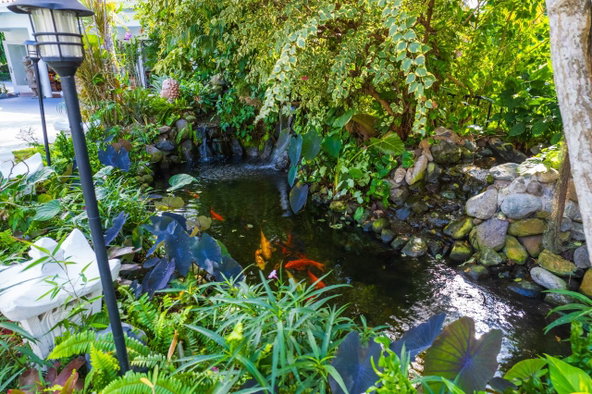 Twenty-Second image of 6 Shortridge Crescent, King in Kingston 6, St. Andrew, Jamaica - property is For Sale