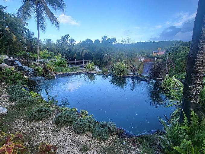 Nineteenth image of Breadnut Hill, Ocho Rios, in Ocho Rios, St. Ann, Jamaica - property is For Sale