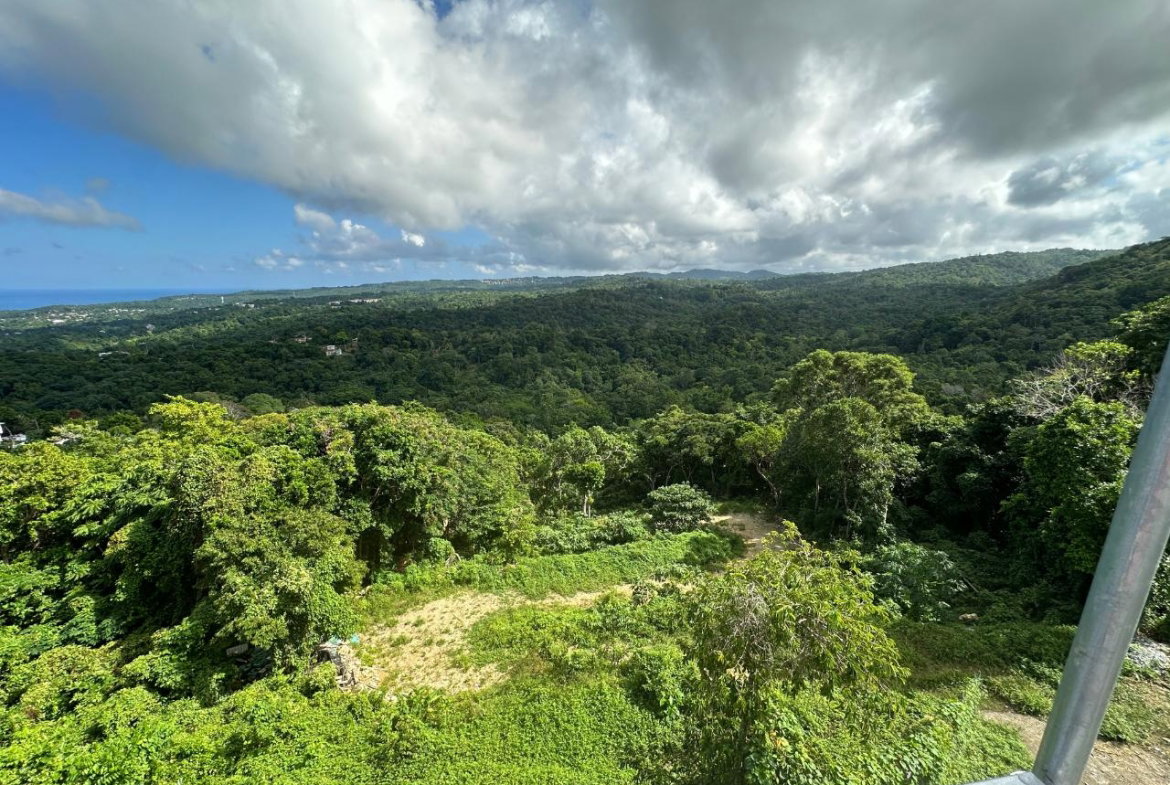 Thirtieth image of Breadnut Hill, Ocho Rios, in Ocho Rios, St. Ann, Jamaica - property is For Sale