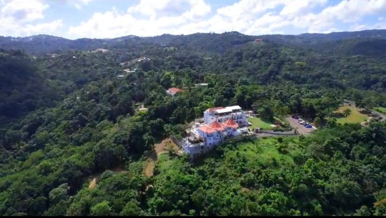 Luxury-Hotel-for-Sale-in-Ocho-Rios-Jamaica-Panoramic-Views-Endless-Possibilities First image of Breadnut Hill, Ocho Rios, in Ocho Rios, St. Ann, Jamaica - property is For Sale