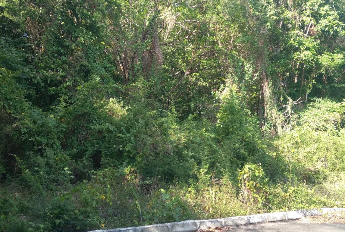 Third image of Roystonea, Tower Isle in Tower Isle, St. Mary, Jamaica - property is For Sale
