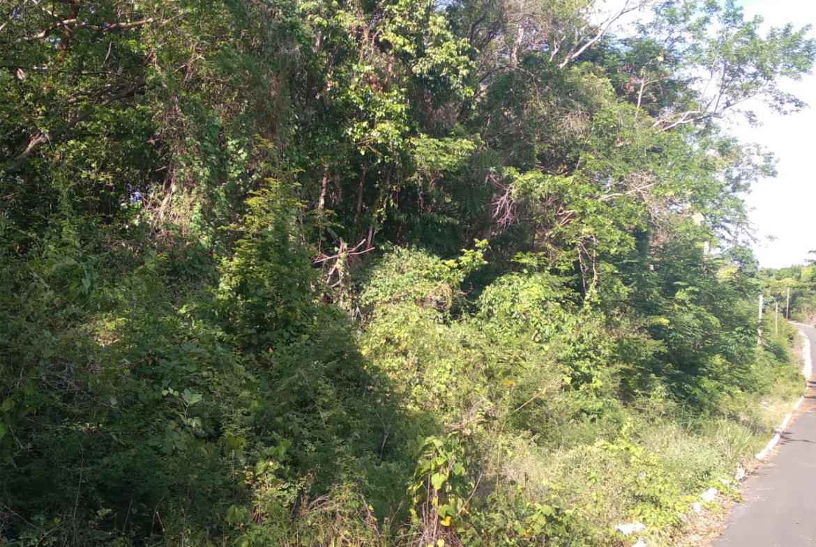 Fourth image of Roystonea, Tower Isle in Tower Isle, St. Mary, Jamaica - property is For Sale