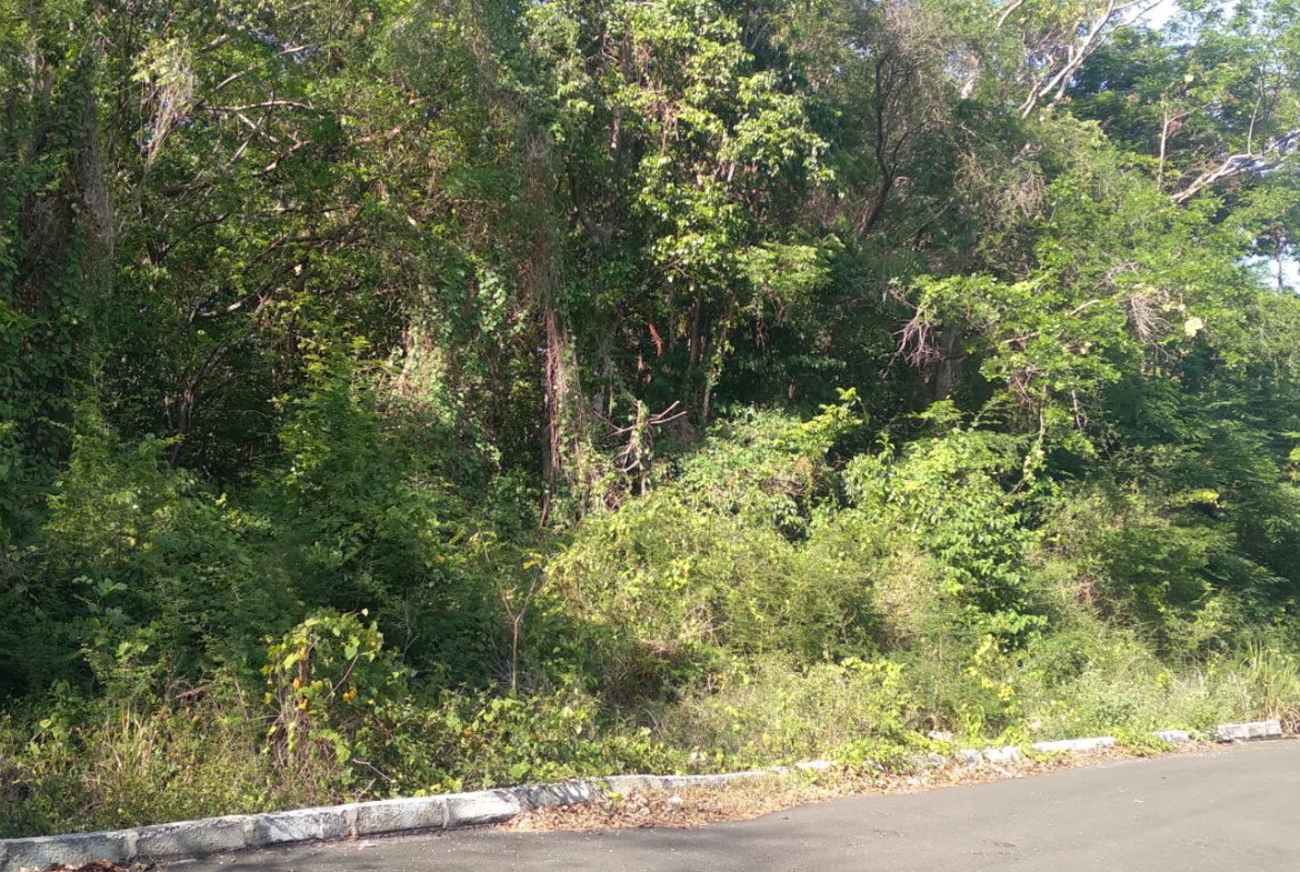 Fifth image of Roystonea, Tower Isle in Tower Isle, St. Mary, Jamaica - property is For Sale