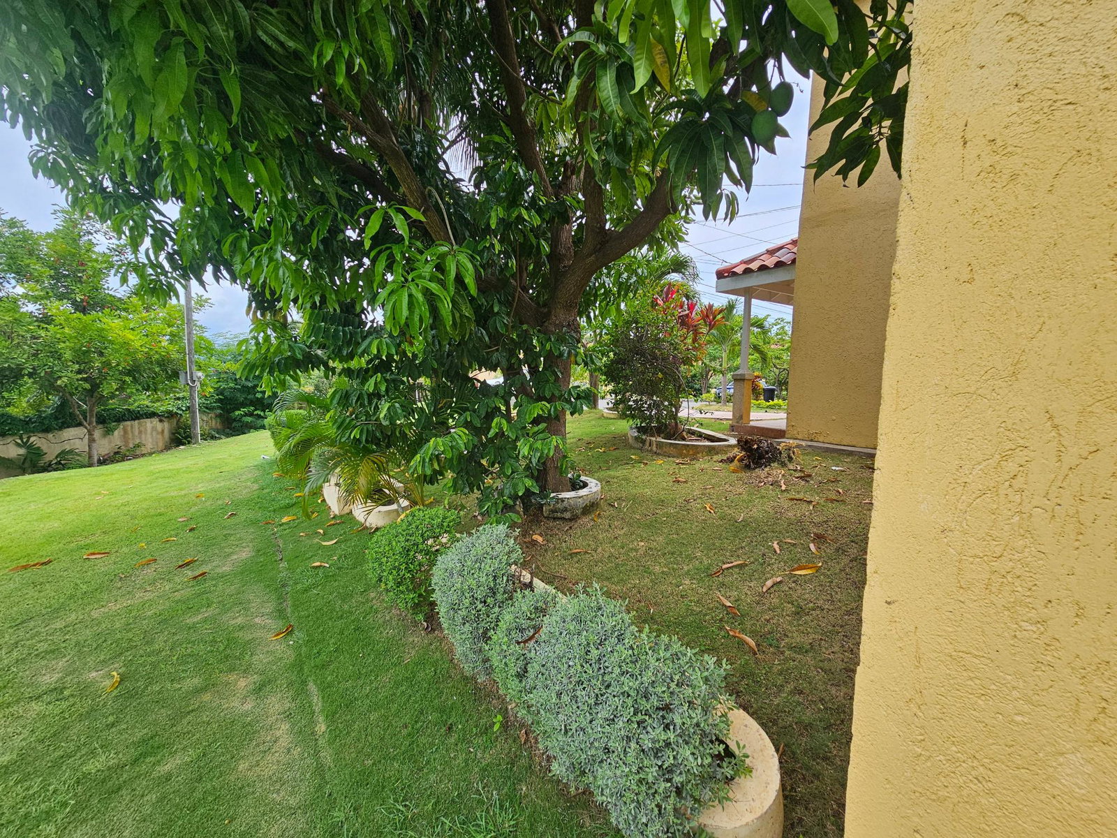 Fifth image of 35-205 Mango Walk Country Club in Montego Bay, St. James, Jamaica - property is For Rent