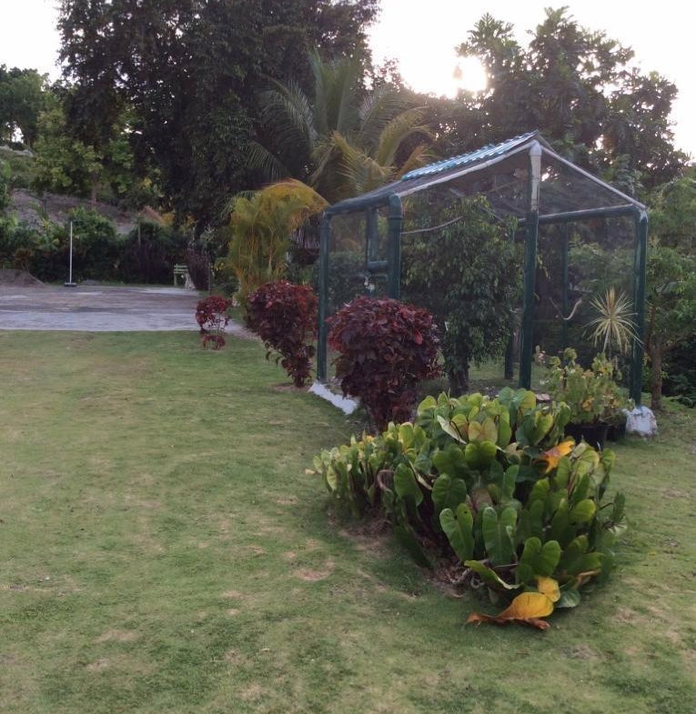 Fourth image of Sherwood Forest, Portland in Fairy Hill, Portland, Jamaica - property is For Sale