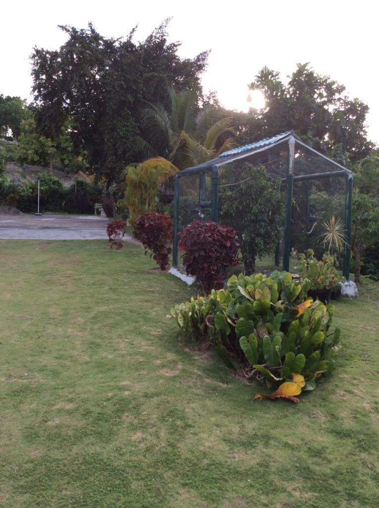 Fourth image of Sherwood Forest, Portland in Fairy Hill, Portland, Jamaica - property is For Sale