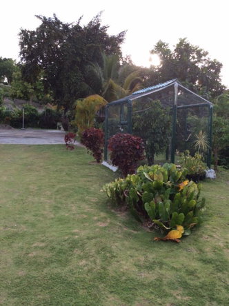 Fourth image of Sherwood Forest, Portland in Fairy Hill, Portland, Jamaica - property is For Sale