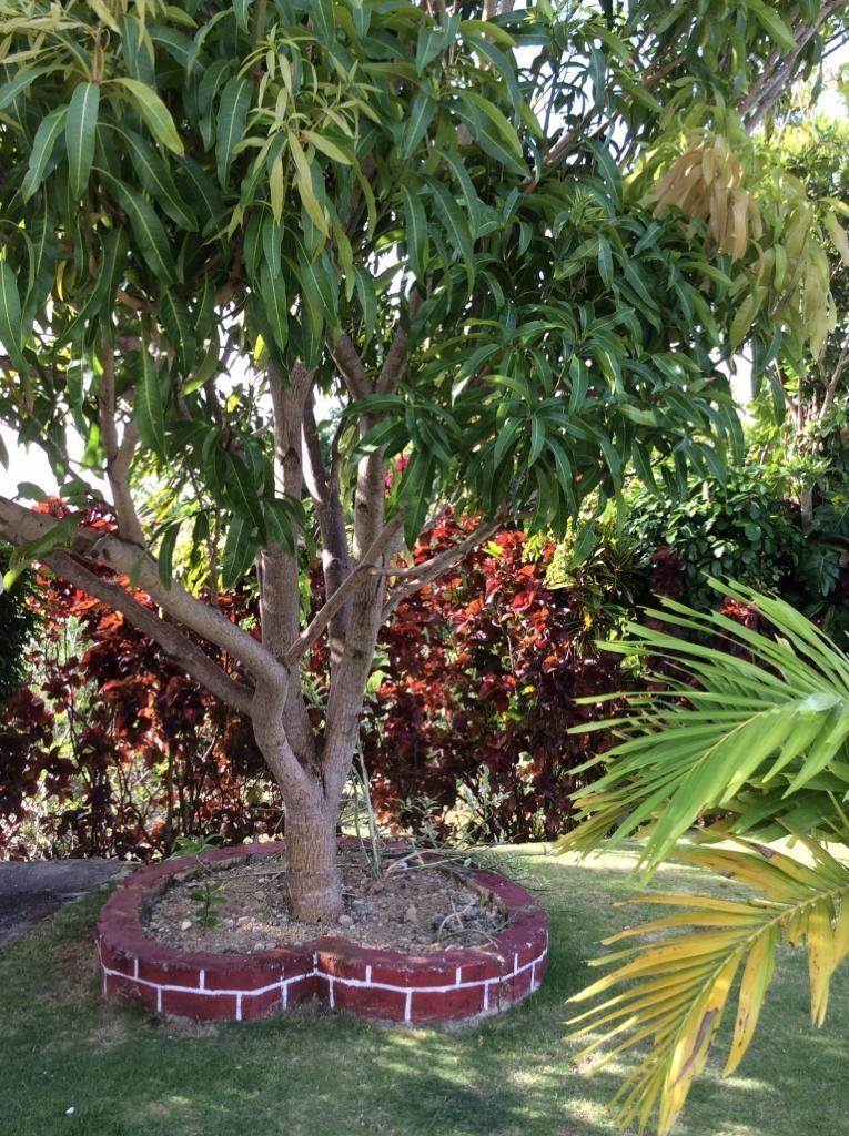 Ninth image of Sherwood Forest, Portland in Fairy Hill, Portland, Jamaica - property is For Sale