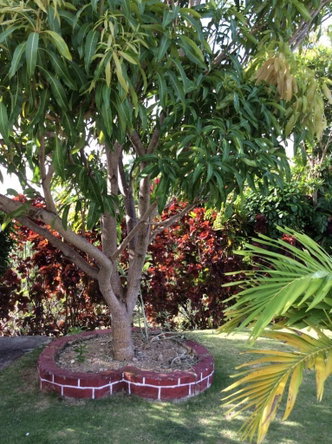 Ninth image of Sherwood Forest, Portland in Fairy Hill, Portland, Jamaica - property is For Sale