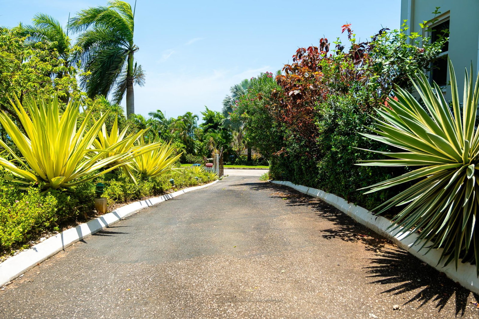 Seventh image of Paradise Plum, Rose Hall in Rose Hall, St. James, Jamaica - property is For Sale