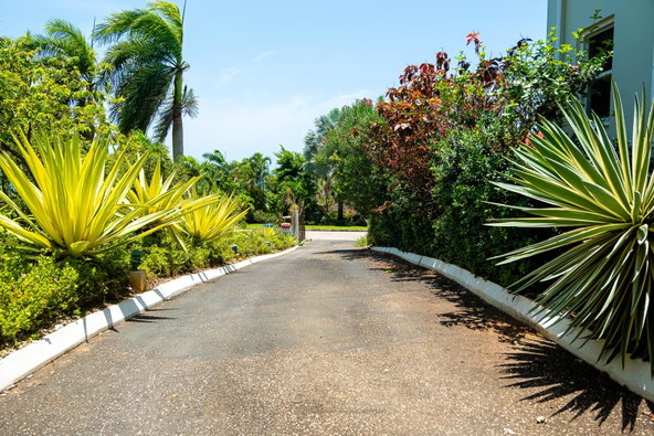 Seventh image of Paradise Plum, Rose Hall in Rose Hall, St. James, Jamaica - property is For Sale
