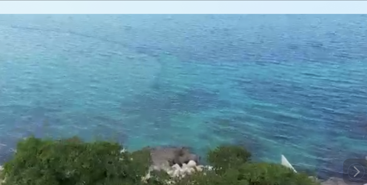 Eighteenth image of 13-42 Queens Crescent Drive, be in Discovery Bay, St. Ann, Jamaica - property is For Sale