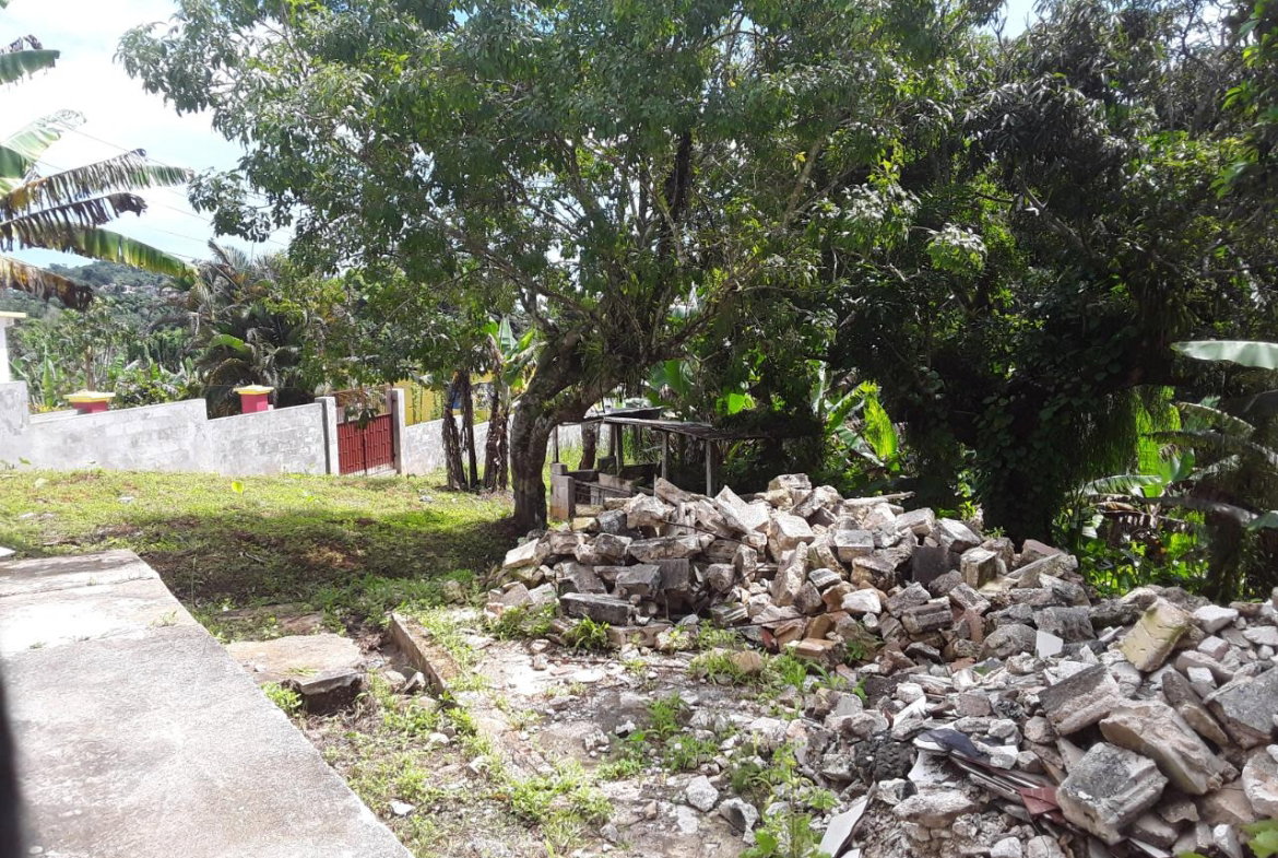 Tenth image of Cotton Tree, Freeman's ha in Albert Town, Trelawny, Jamaica - property is For Sale