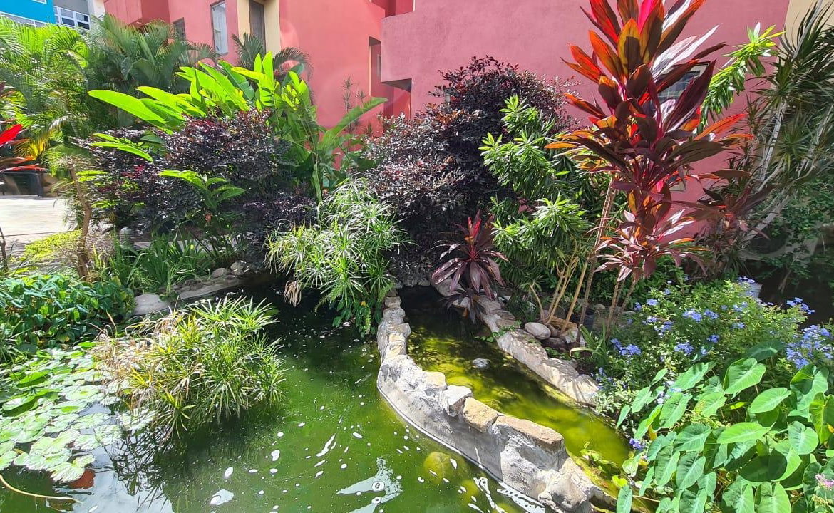 Third image of 30-11 Musgrave Road in Kingston 5, St. Andrew, Jamaica - property is For Rent