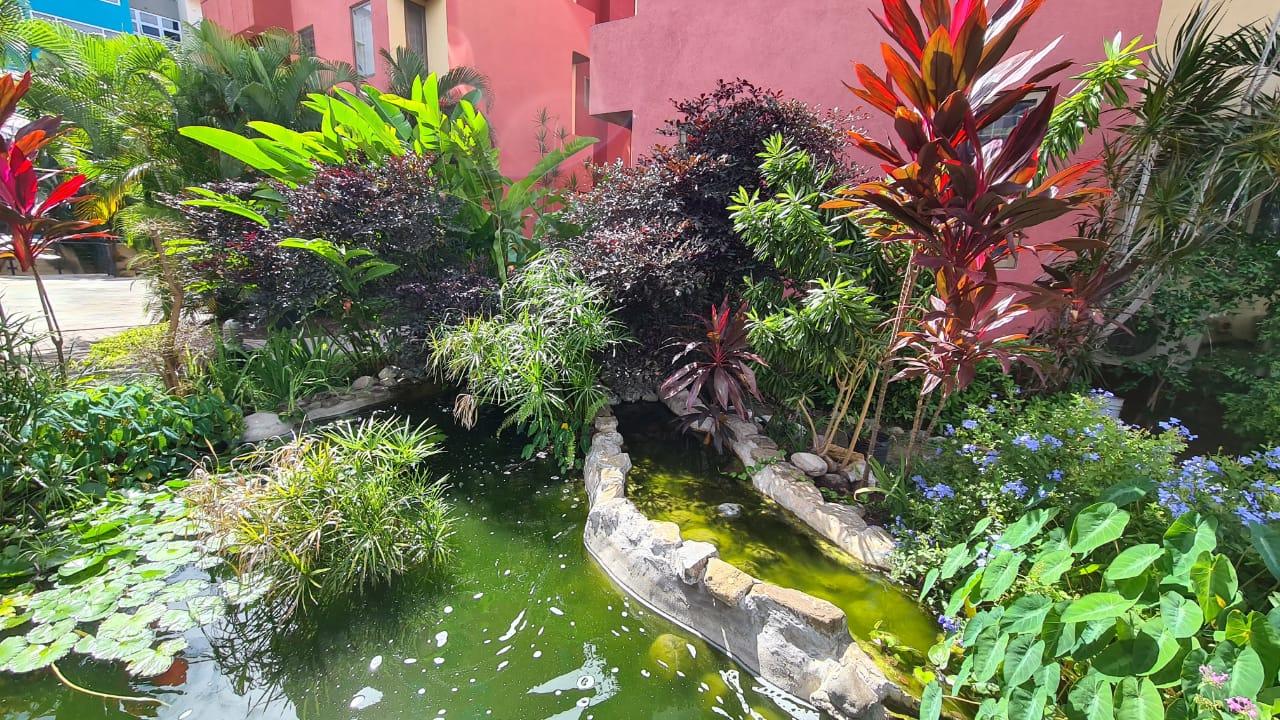 Third image of 30-11 Musgrave Road in Kingston 5, St. Andrew, Jamaica - property is For Rent