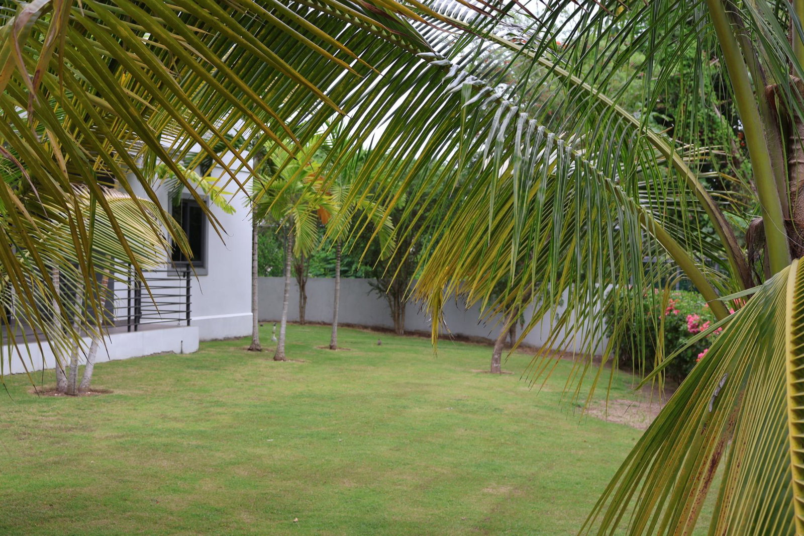 Twelfth image of 11e-25-27 Millsborough Avenue in Kingston 6, St. Andrew, Jamaica - property is For Sale