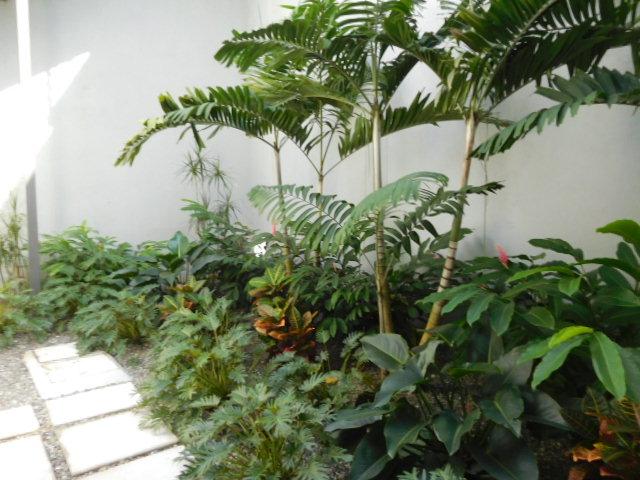 Fourth image of 11e-25-27 Millsborough Avenue in Kingston 6, St. Andrew, Jamaica - property is For Sale