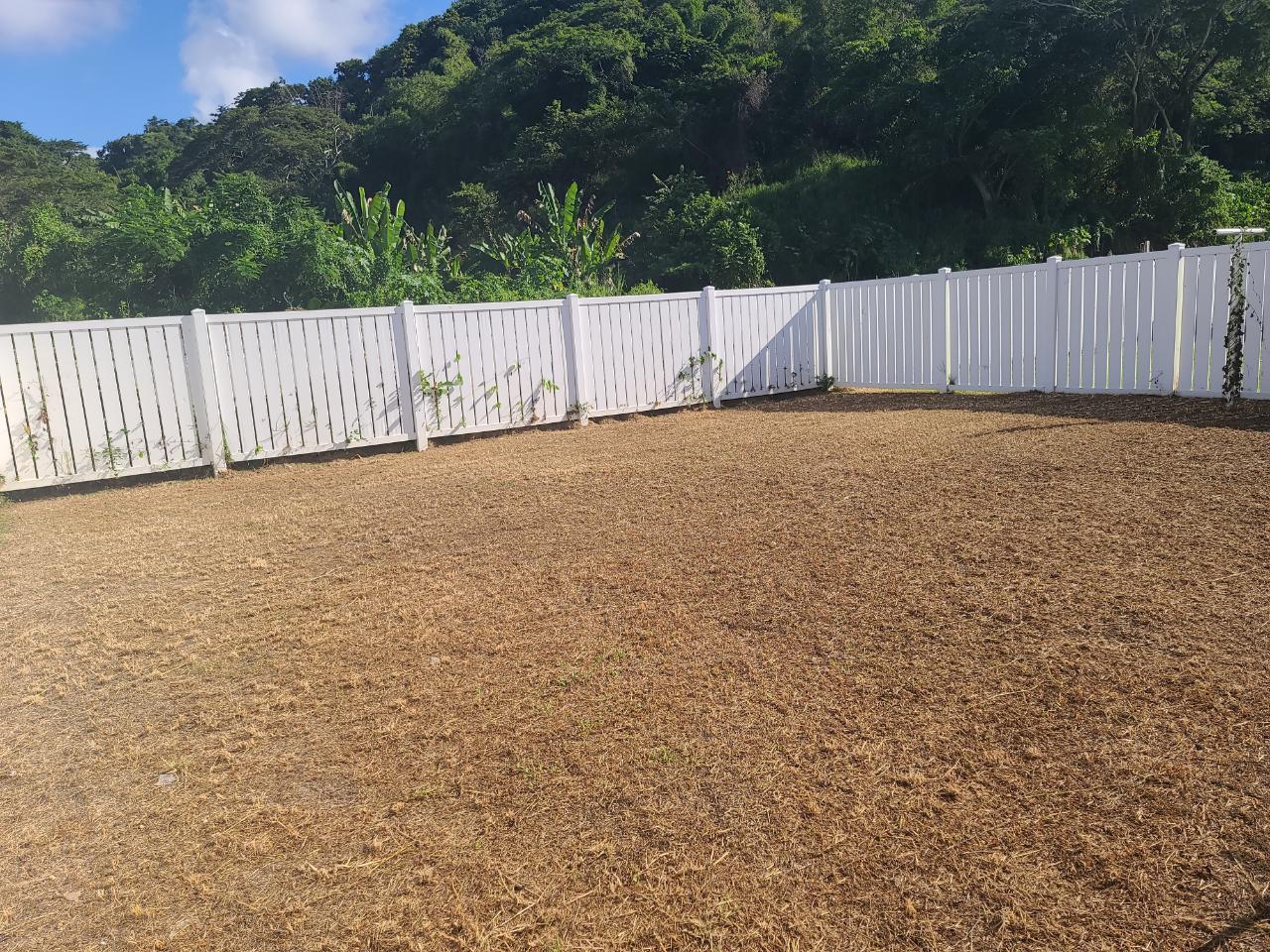 Twenty-Fourth image of 53 Oceanpointe in Lucea, Hanover, Jamaica - property is For Rent