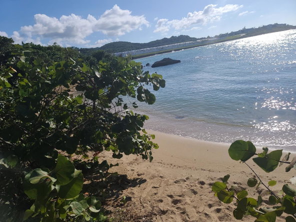 Twenty-Seventh image of 53 Oceanpointe in Lucea, Hanover, Jamaica - property is For Rent