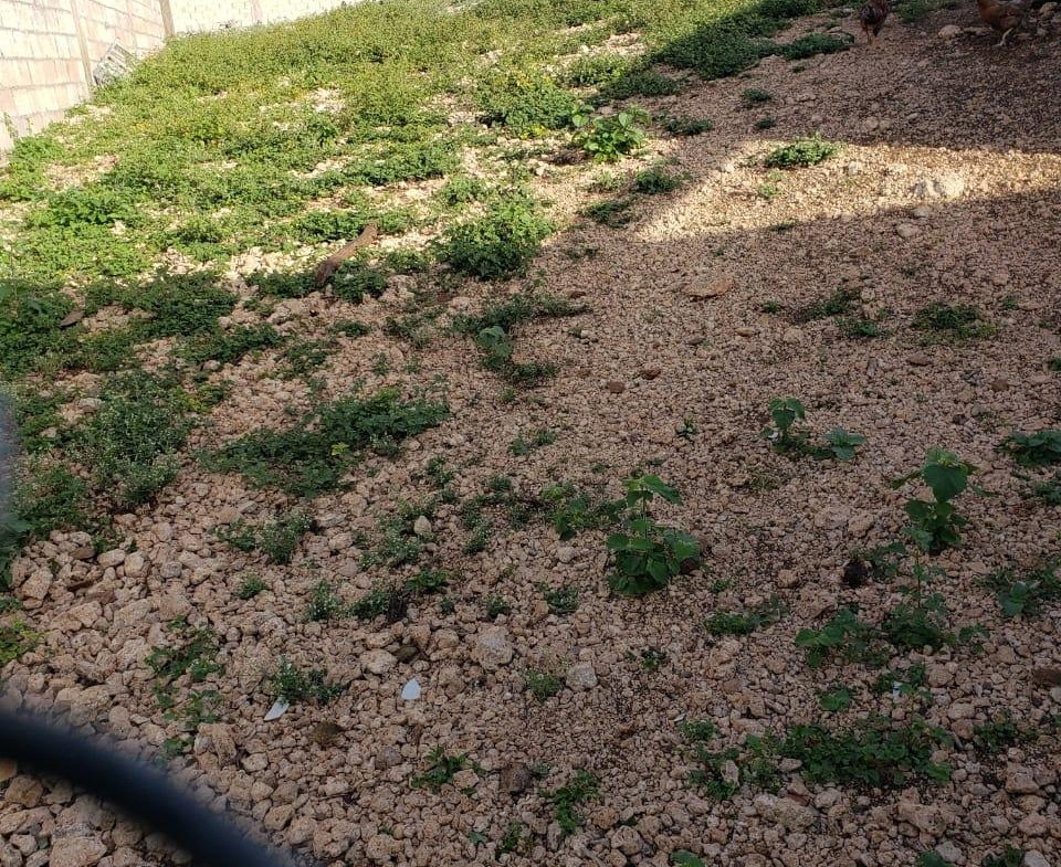 Tenth image of Cross Keys, Manchester in Cross Keys, Manchester, Jamaica - property is For Sale