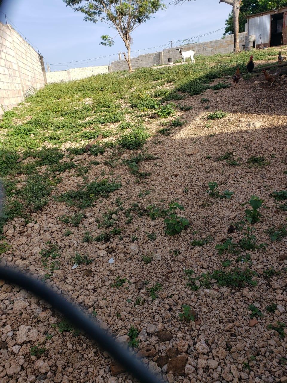 Tenth image of Cross Keys, Manchester in Cross Keys, Manchester, Jamaica - property is For Sale