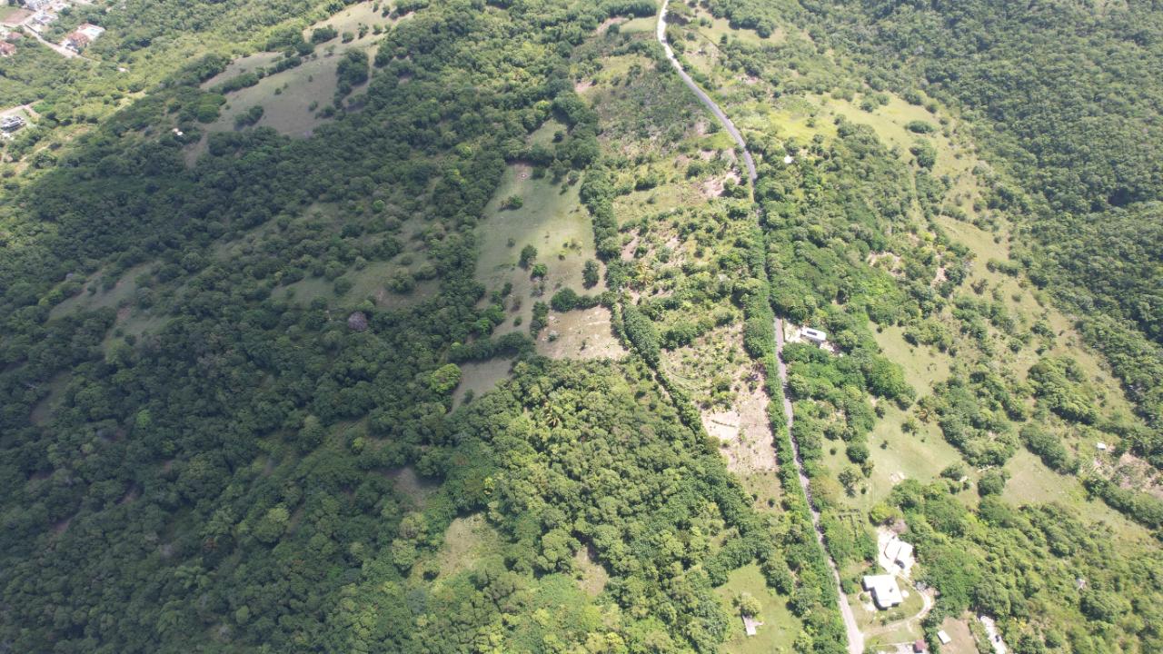 Montego-View-Prime-277-Acres-of-Development-Land-in-Montego-Bay-Jamaica Eleventh image of Montego Hill in Ironshore, St. James, Jamaica - property is For Sale