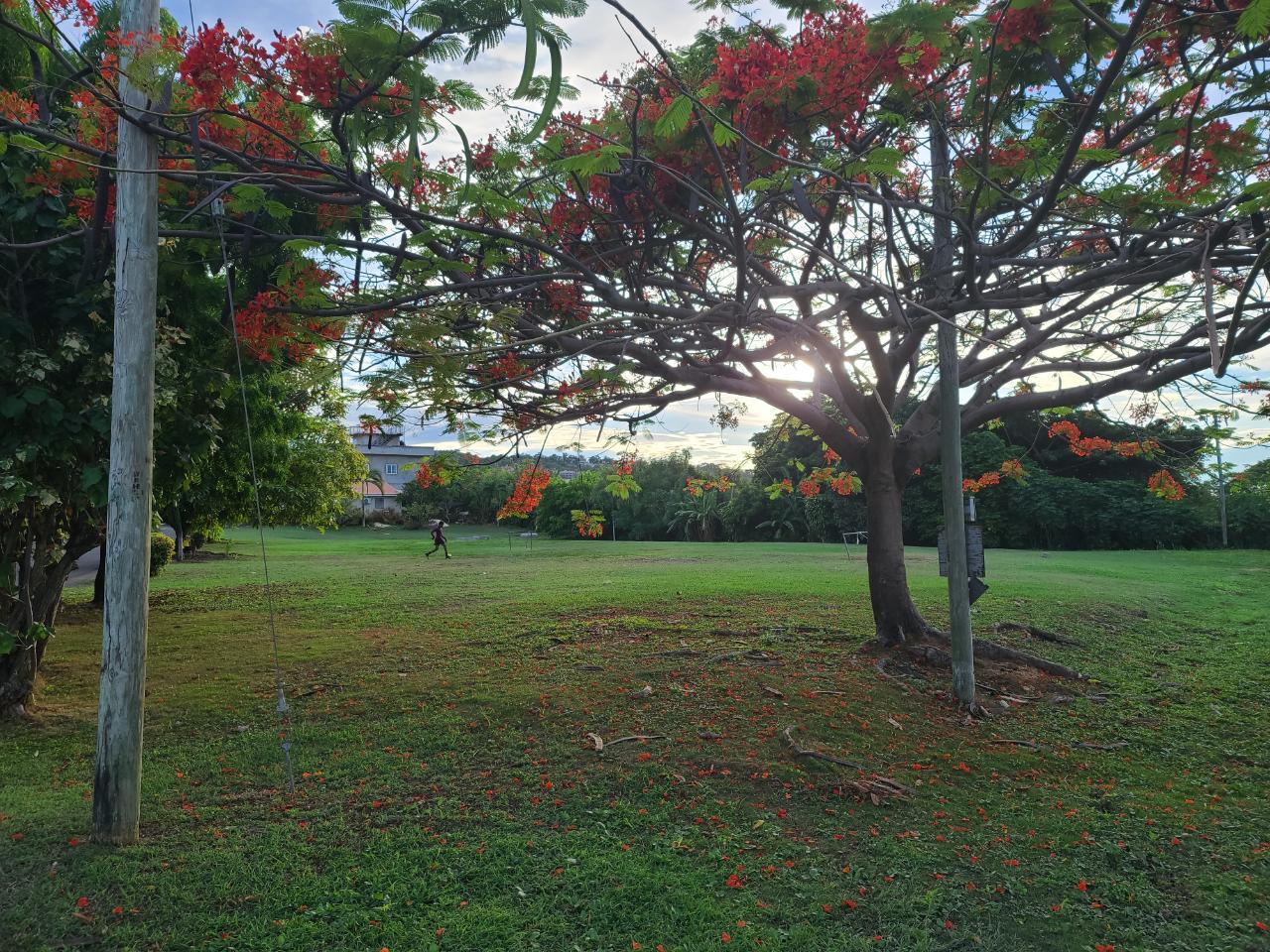 Twenty-Second image of 19 Palm Drive in Greenwich Park, St. Ann, Jamaica - property is For Sale