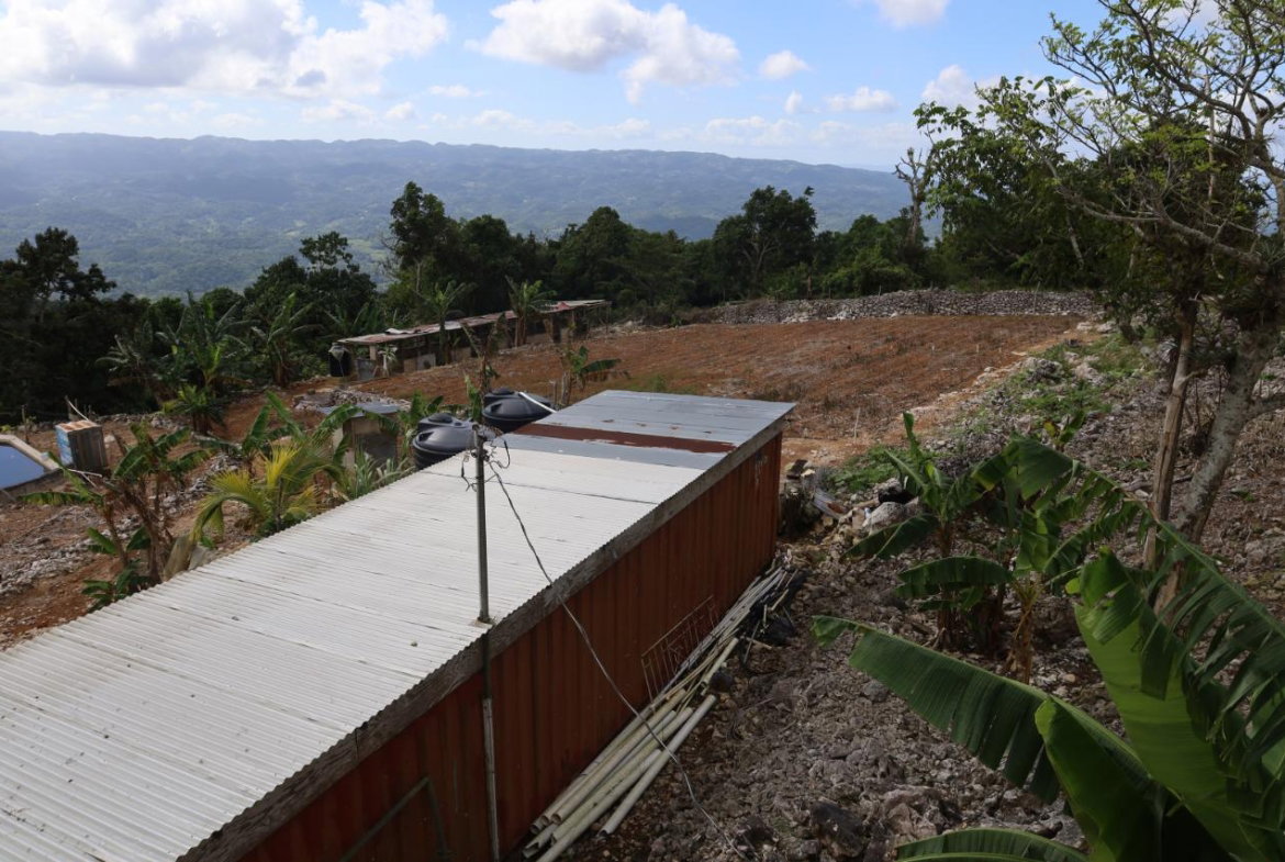 Fifteenth image of Contrivance, Walderston p in Walderston, Manchester, Jamaica - property is For Sale