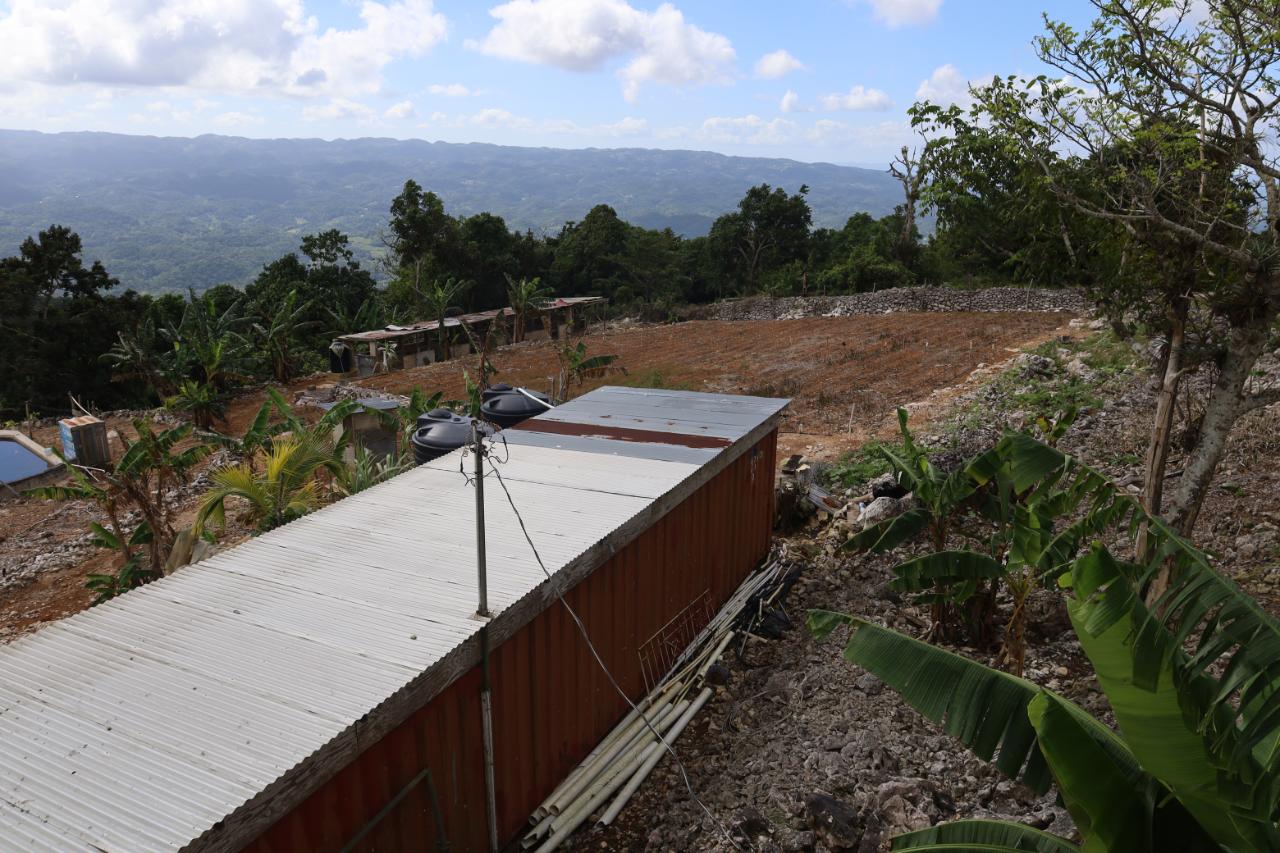 Fifteenth image of Contrivance, Walderston p in Walderston, Manchester, Jamaica - property is For Sale