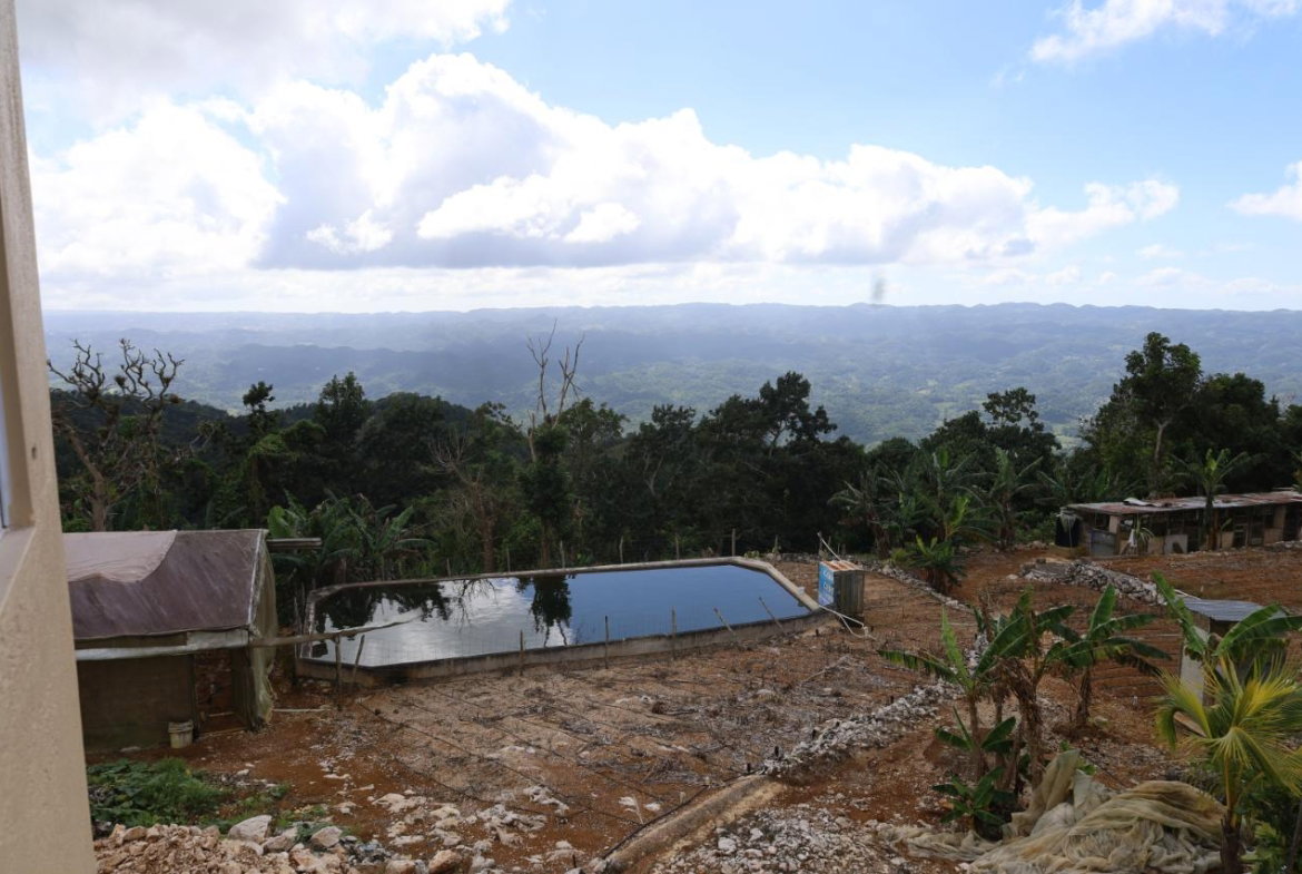 Sixteenth image of Contrivance, Walderston p in Walderston, Manchester, Jamaica - property is For Sale