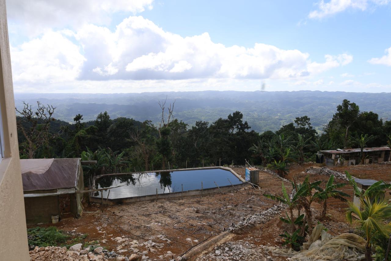 Sixteenth image of Contrivance, Walderston p in Walderston, Manchester, Jamaica - property is For Sale