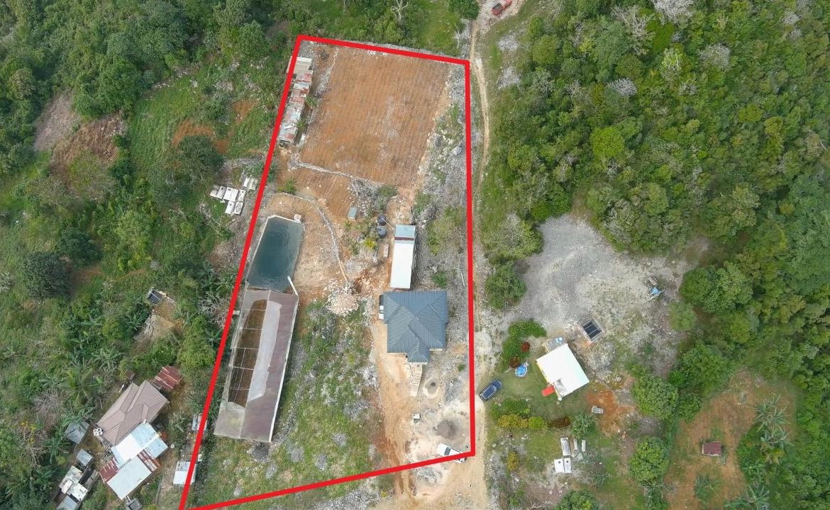 Seventeenth image of Contrivance, Walderston p in Walderston, Manchester, Jamaica - property is For Sale