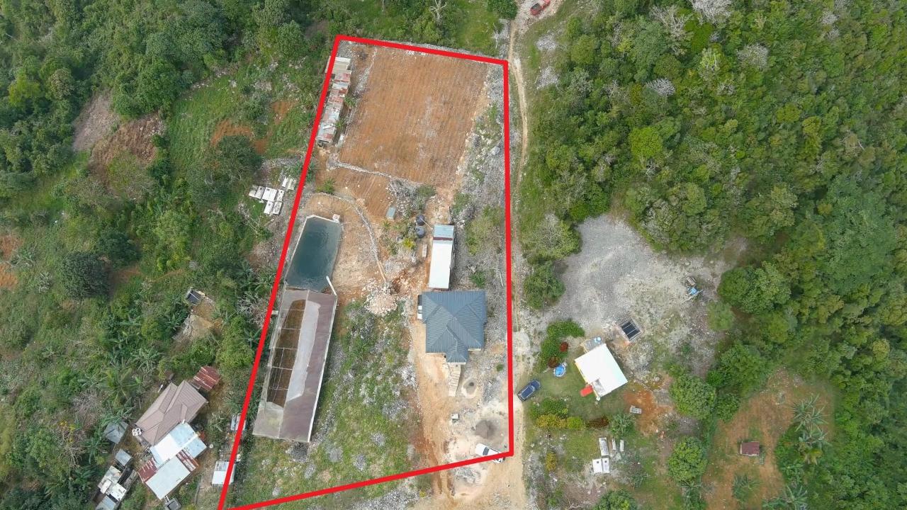 Seventeenth image of Contrivance, Walderston p in Walderston, Manchester, Jamaica - property is For Sale