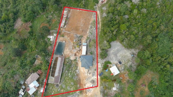 Seventeenth image of Contrivance, Walderston p in Walderston, Manchester, Jamaica - property is For Sale