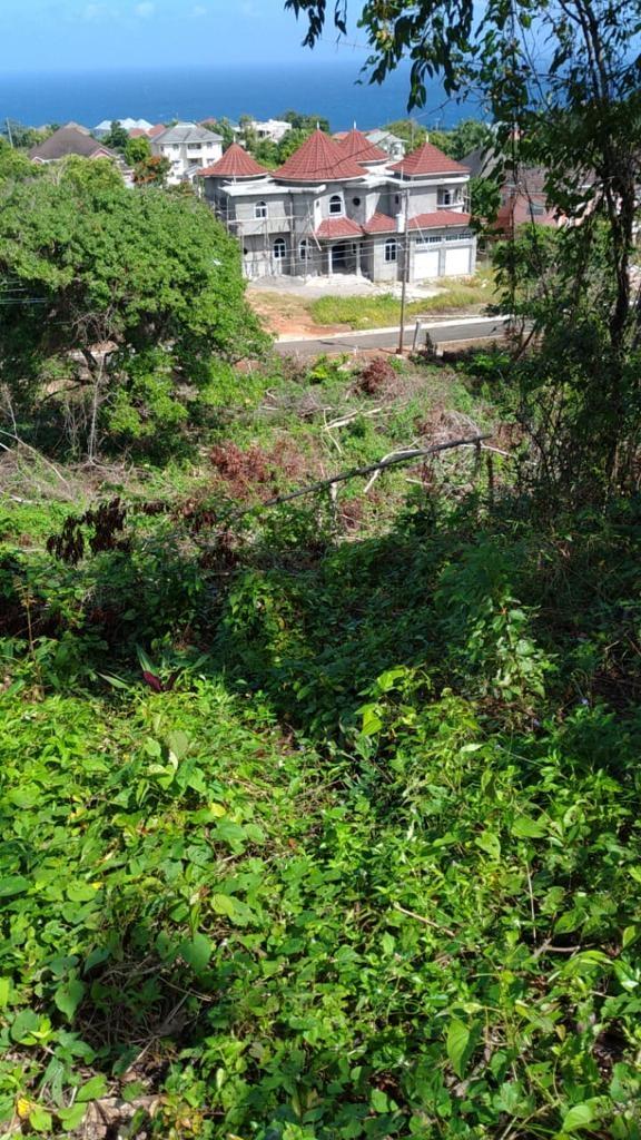 Fourteenth image of 38 Ocean Ridge in Tower Isle, St. Mary, Jamaica - property is For Sale
