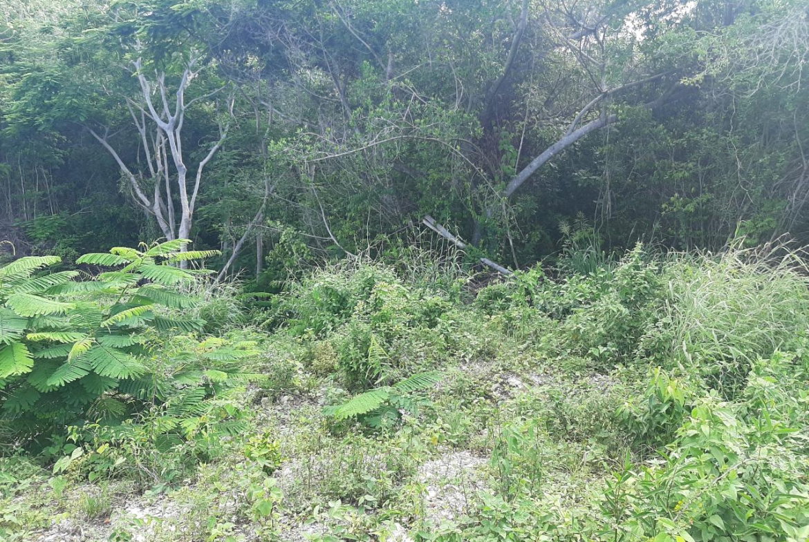 Eleventh image of 37- Spring Garden in Montego Bay, St. James, Jamaica - property is For Sale
