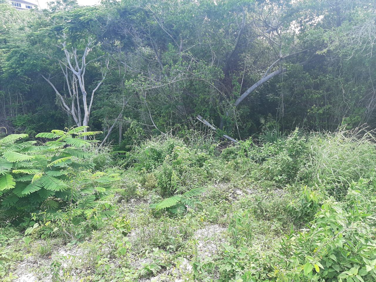 Ocean-View-Lot-for-Sale-in-Spring-Gardens-Montego-Bay Eleventh image of 37- Spring Garden in Montego Bay, St. James, Jamaica - property is For Sale