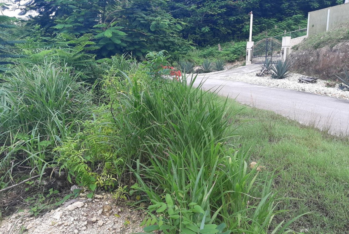Twelfth image of 37- Spring Garden in Montego Bay, St. James, Jamaica - property is For Sale