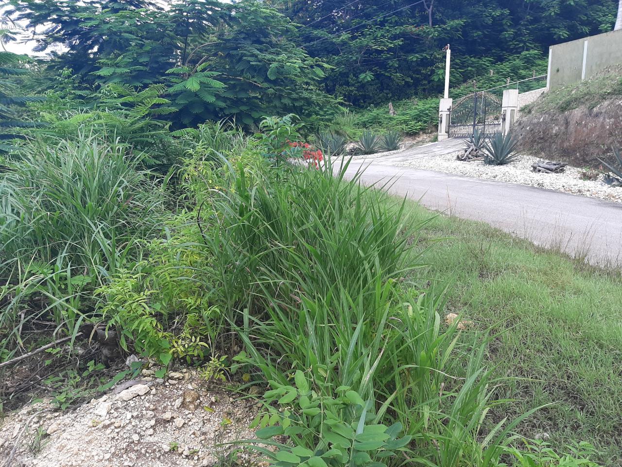 Ocean-View-Lot-for-Sale-in-Spring-Gardens-Montego-Bay Twelfth image of 37- Spring Garden in Montego Bay, St. James, Jamaica - property is For Sale