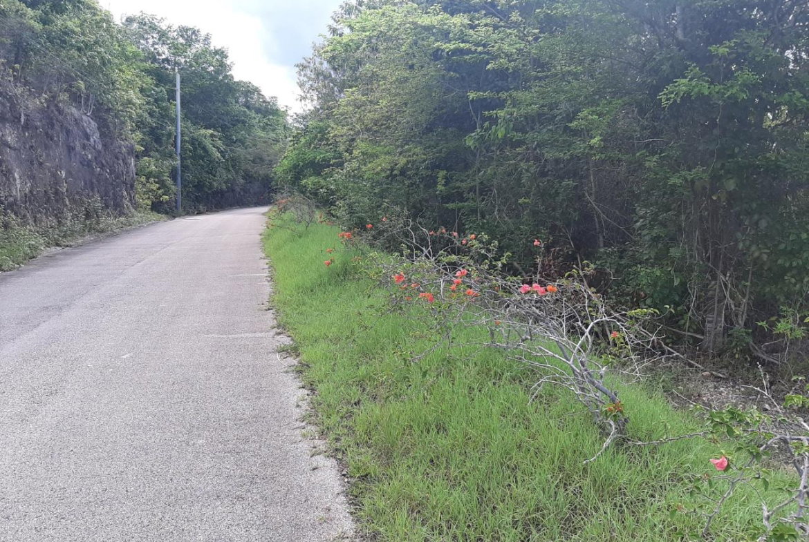 Fourteenth image of 37- Spring Garden in Montego Bay, St. James, Jamaica - property is For Sale