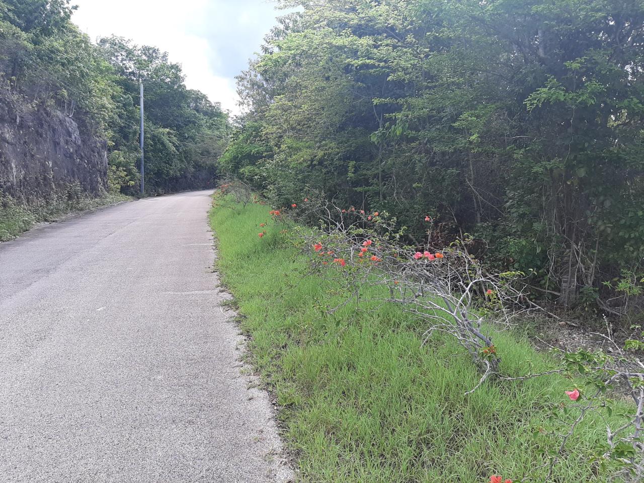 Ocean-View-Lot-for-Sale-in-Spring-Gardens-Montego-Bay Fourteenth image of 37- Spring Garden in Montego Bay, St. James, Jamaica - property is For Sale