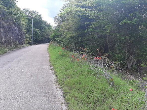 Fourteenth image of 37- Spring Garden in Montego Bay, St. James, Jamaica - property is For Sale