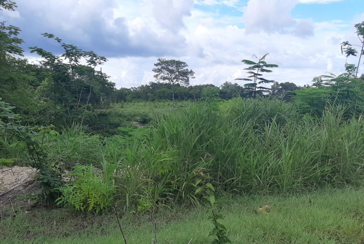 Sixteenth image of 37- Spring Garden in Montego Bay, St. James, Jamaica - property is For Sale