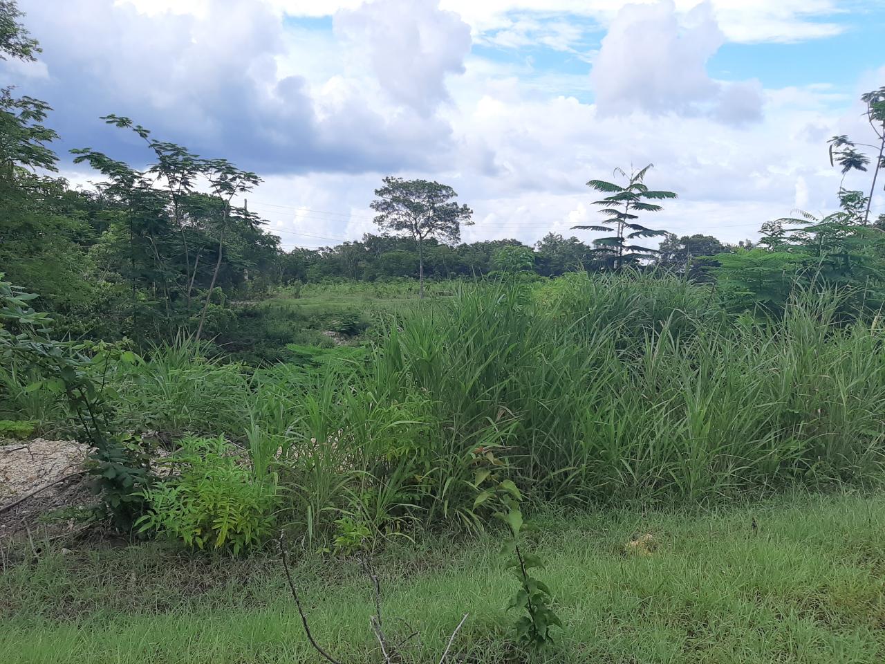 Ocean-View-Lot-for-Sale-in-Spring-Gardens-Montego-Bay Sixteenth image of 37- Spring Garden in Montego Bay, St. James, Jamaica - property is For Sale