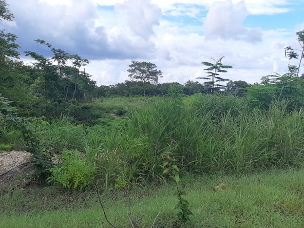 Sixteenth image of 37- Spring Garden in Montego Bay, St. James, Jamaica - property is For Sale