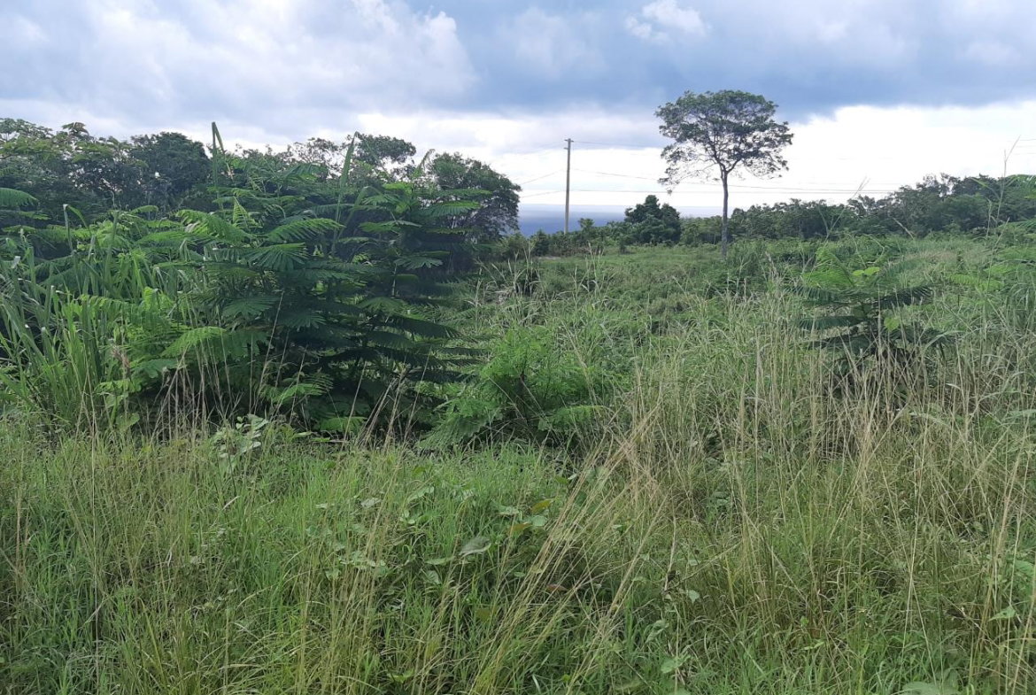 Eighteenth image of 37- Spring Garden in Montego Bay, St. James, Jamaica - property is For Sale