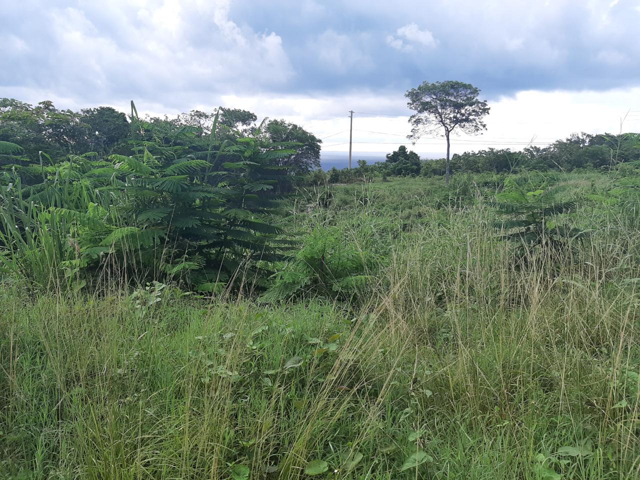 Ocean-View-Lot-for-Sale-in-Spring-Gardens-Montego-Bay Eighteenth image of 37- Spring Garden in Montego Bay, St. James, Jamaica - property is For Sale