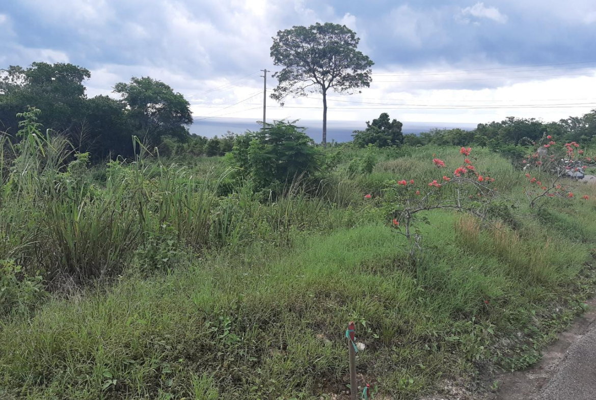 Nineteenth image of 37- Spring Garden in Montego Bay, St. James, Jamaica - property is For Sale