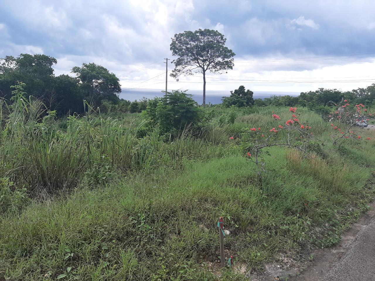 Ocean-View-Lot-for-Sale-in-Spring-Gardens-Montego-Bay Nineteenth image of 37- Spring Garden in Montego Bay, St. James, Jamaica - property is For Sale